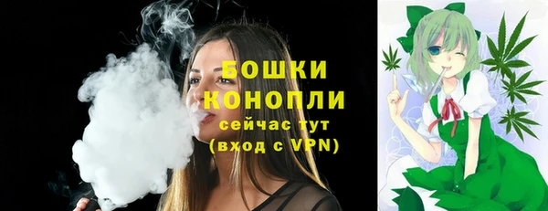 стаф Володарск