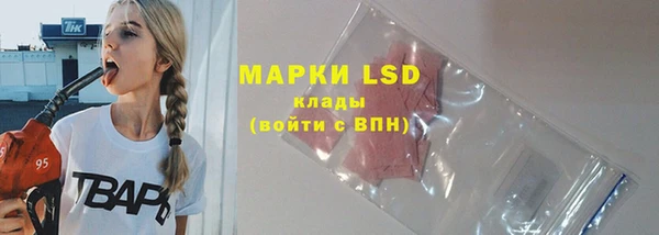 стаф Володарск