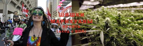 стаф Володарск